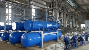 nhà máy sản xuất dá chuyên nghiệp