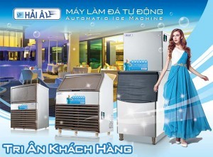 Hải Âu Việt Nam tri ân khách hàng