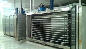 Tủ đông tiếp xúc hiện đại