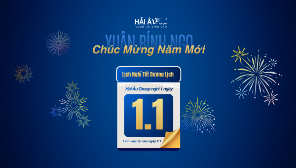 thông báo lịch nghỉ tết dương lịch 2026